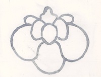 Orchidea 1 rid ago 25.jpg