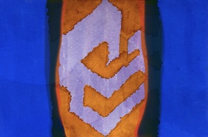 Prova muscolare 2 nov 25.jpg